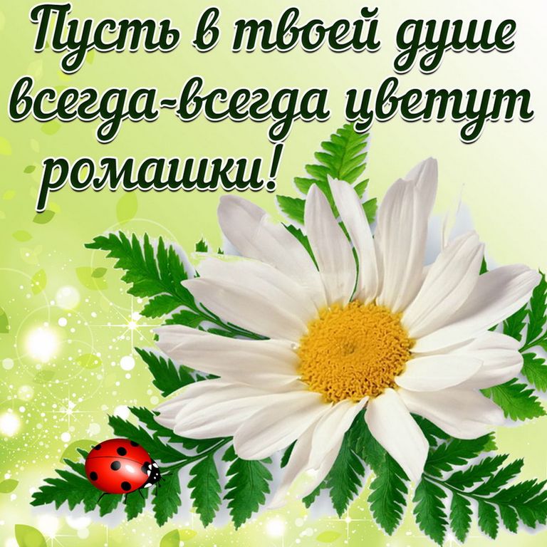 Pin by Ольга Кашкина on Пожелания Montreal botanical garden, Happy birthday wish